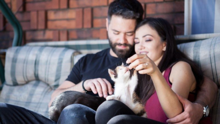 7 Relationship Moments You’ll Have Only After Bringing a Cat Into Your Life