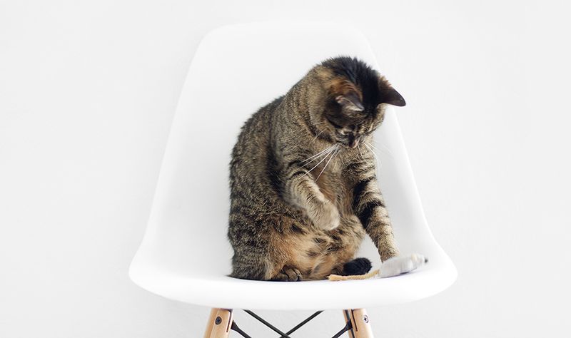 Hyper-Awareness of Behavior