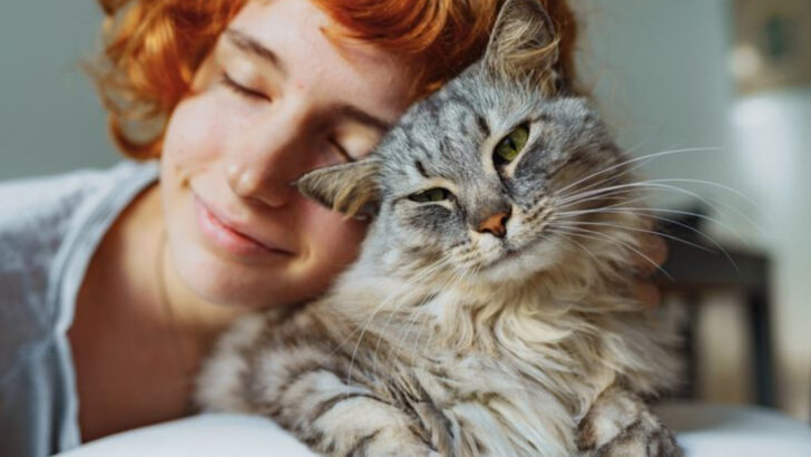 7 Things No One Tells You About Taking Care of a Sick Cat