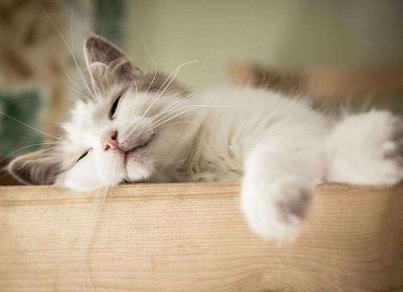 Set Up a Safe, Quiet Space