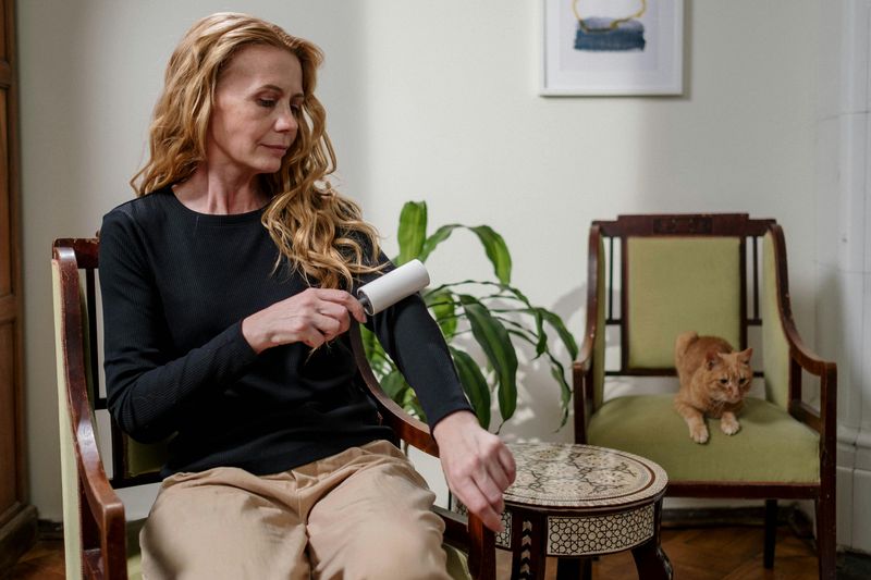 Use a Lint Roller or Pet Hair Remover Before Washing