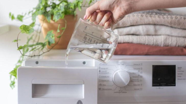 7 Tricks for Preventing Pet Hair Buildup in Laundry and Your Washer