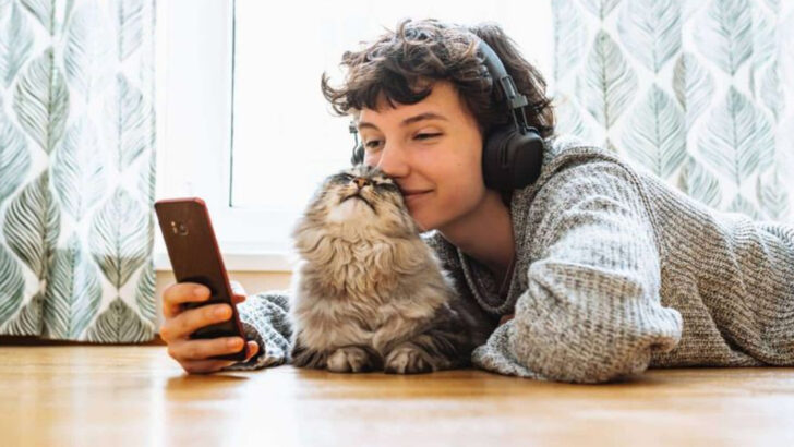 7 Types of Cat Parents – Which One Are You?