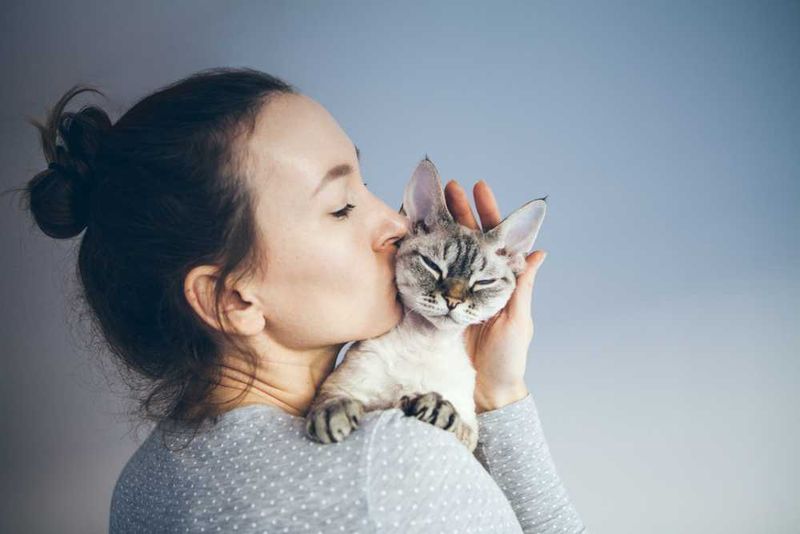 Unconditional Companionship