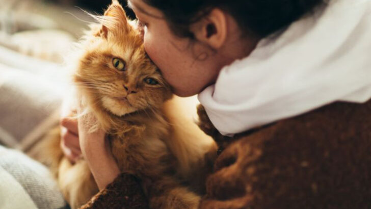 7 Ways ESA Cats Help Ease Depressive Episodes