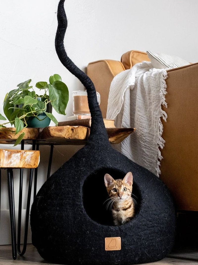 Covered Cat Beds