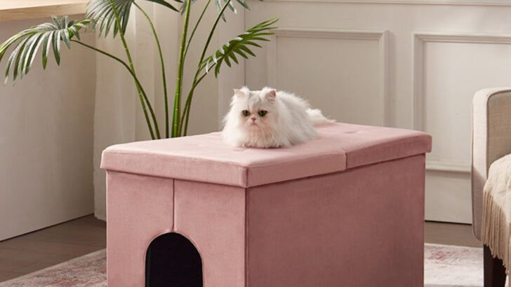 8 Ways to Disguise the Litter Box and Cat Gear in Style