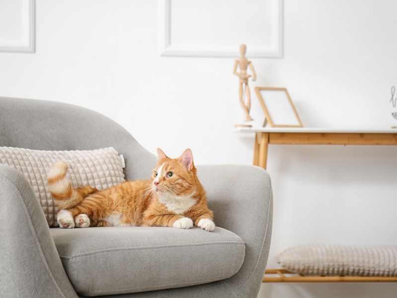 8. You Don’t Want to Adjust Your Decor or Lifestyle
