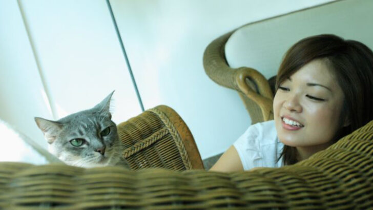 9 Times Cats Act Like You Don’t Exist (On Purpose)