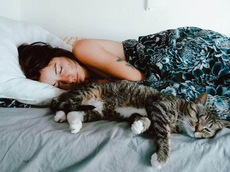 10. Catnap Connoisseur