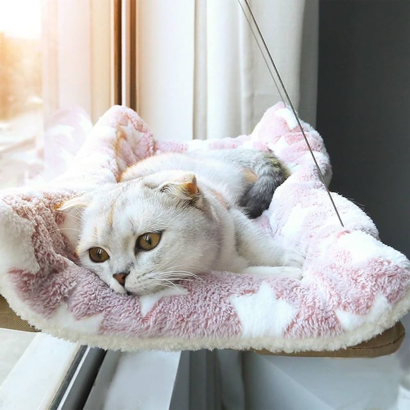 A Cozy Bed