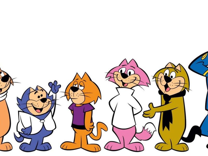 Top Cat