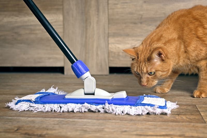 Be Mindful of Clean-Up and Safety