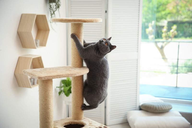 Incorporate Vertical Spaces