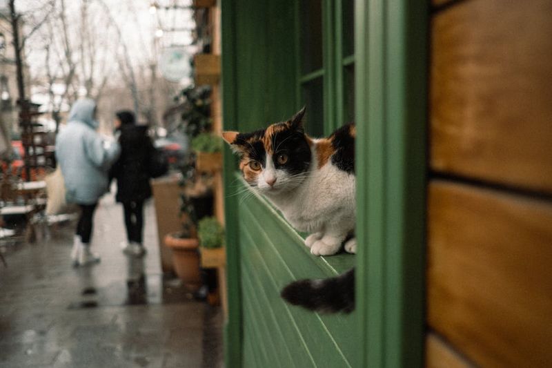 People-Watching Potential