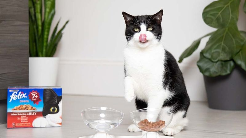 Altered Eating or Drinking Habits