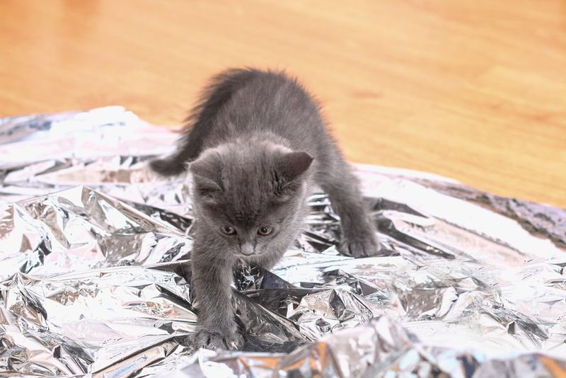 Aluminum Foil