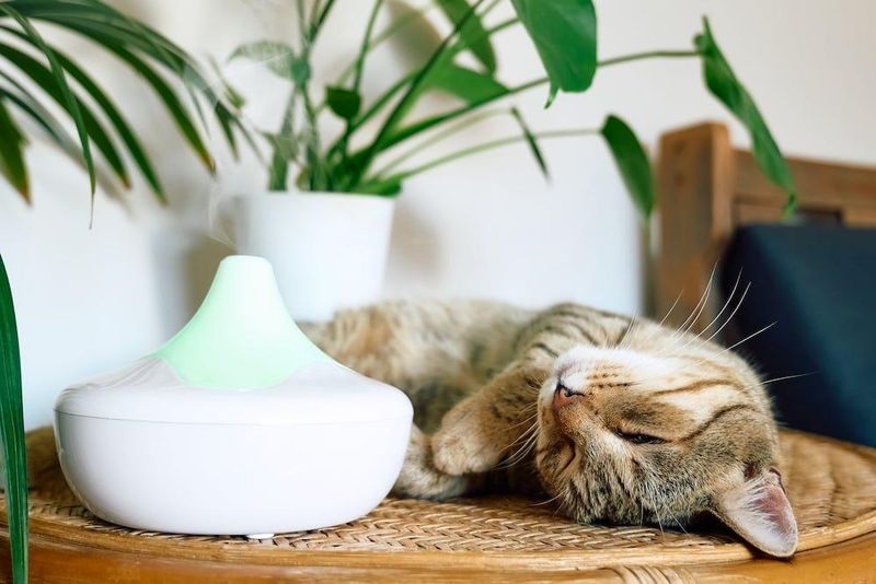 Aromatic Relaxation