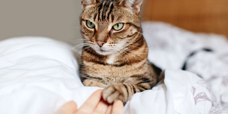 Avoiding Physical Contact