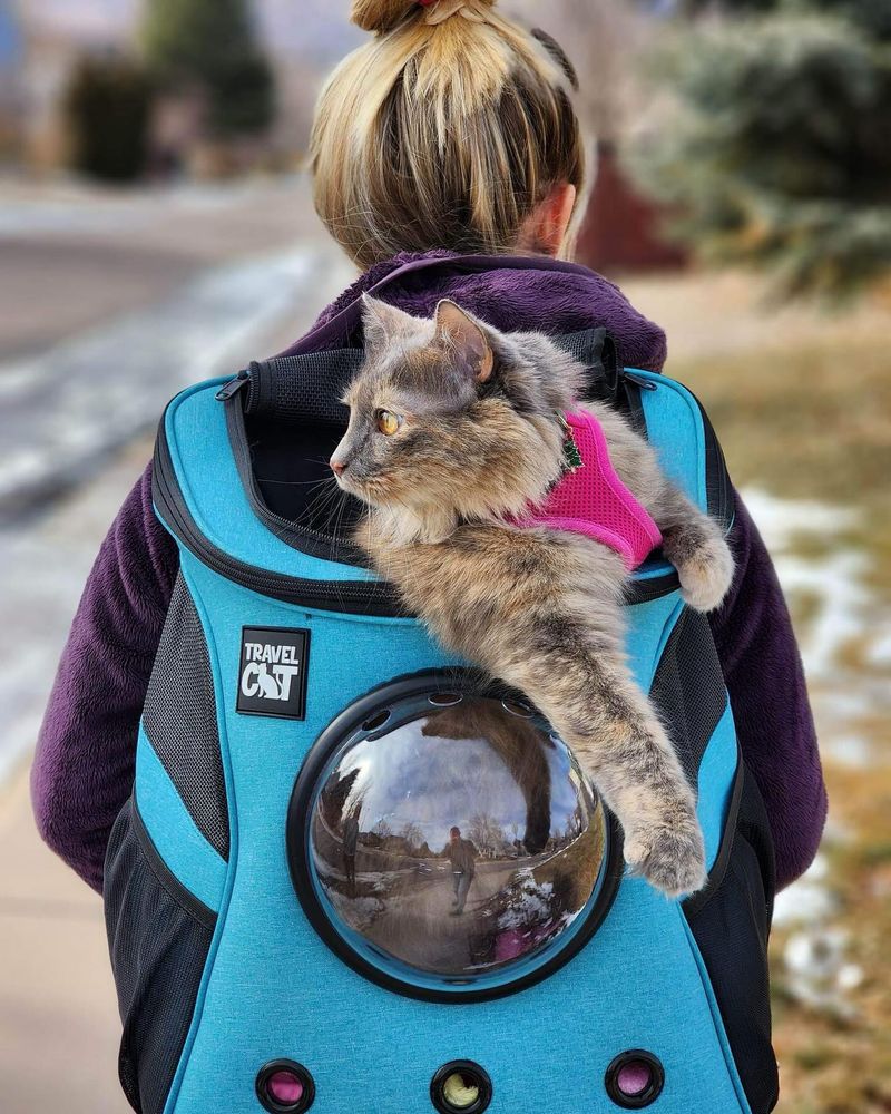 Backpack Adventures