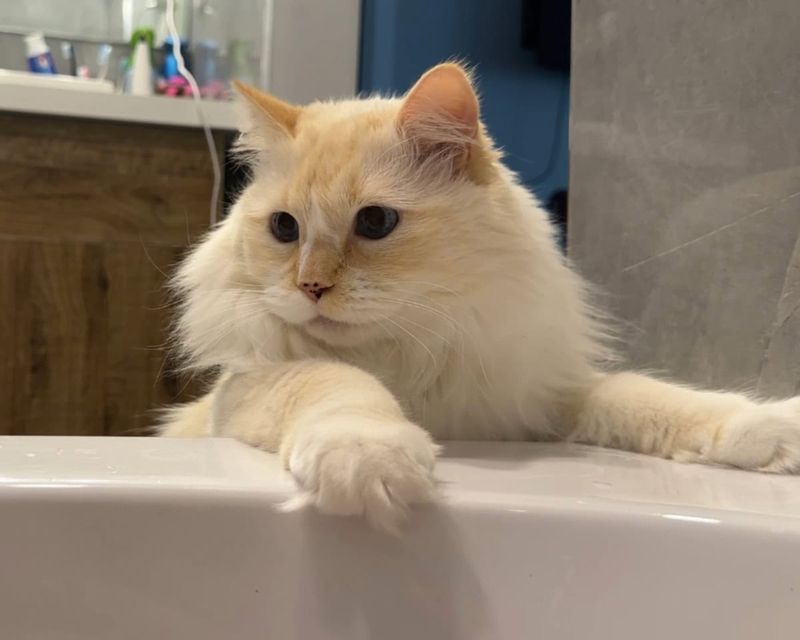 Bath Time Spectator