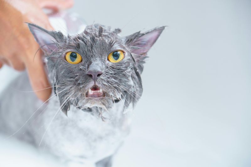 Bathing Rituals