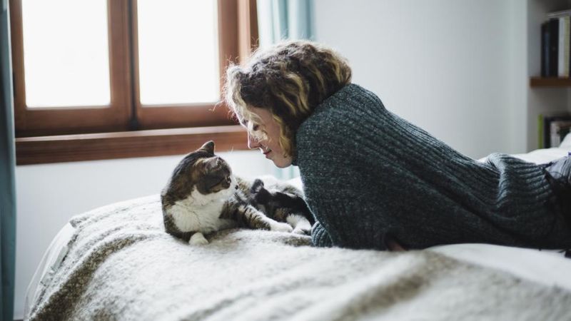 Cat-Proof Your Home