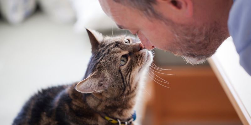 Talking to Your Cat Like They’re a Person