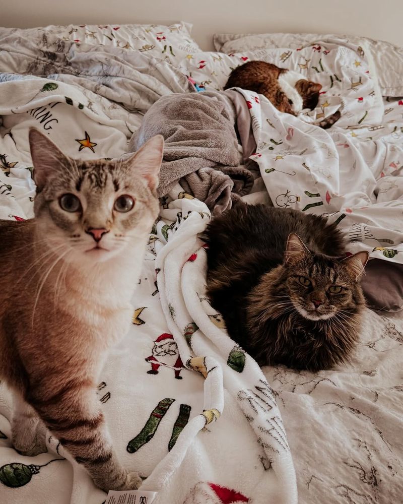 Sharing Exactly 6 Inches of Your Bed