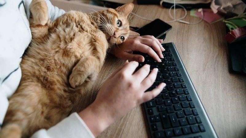 Being Ignored (Until They Want Attention)