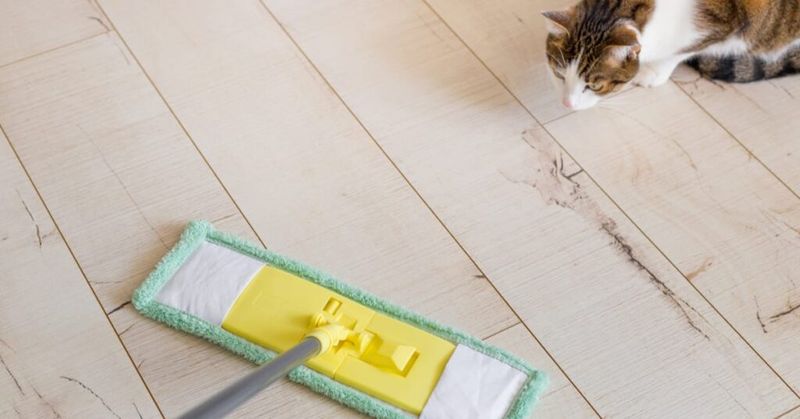 Pine Oil-Based Cleaners
