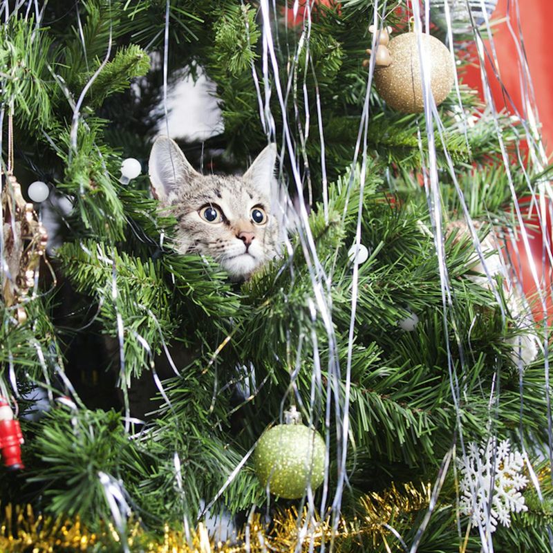 Tinsel or Holiday Decorations