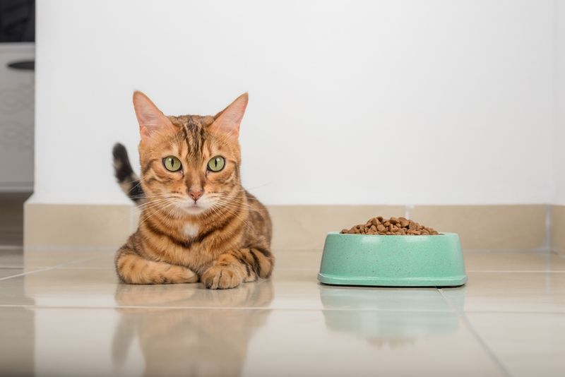 Appetite is Mood-Dependent