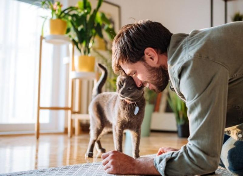 Gentle Head Butts (a.k.a. “Boops of Forgiveness”)