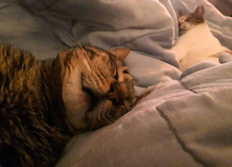 Cuddle or Sit Close (On Their Terms)
