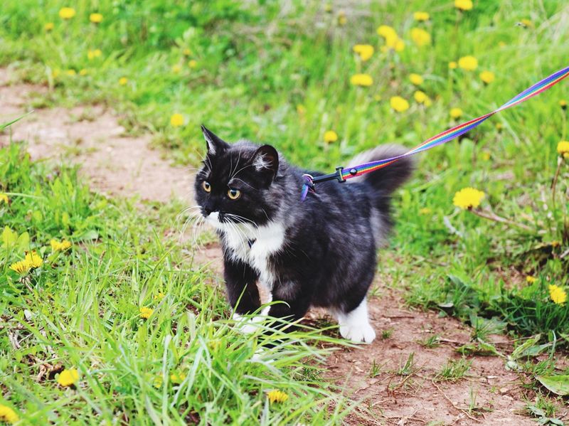 Supervised Outdoor Time