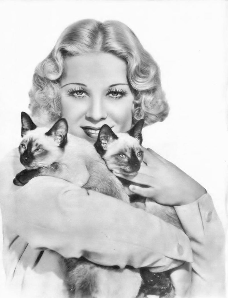 Siamese