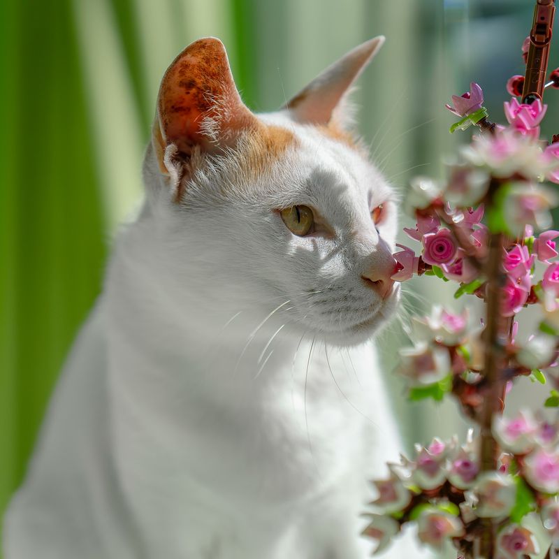 Fresh Scents in the Air