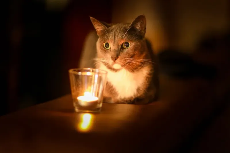 Candles and Open Flames
