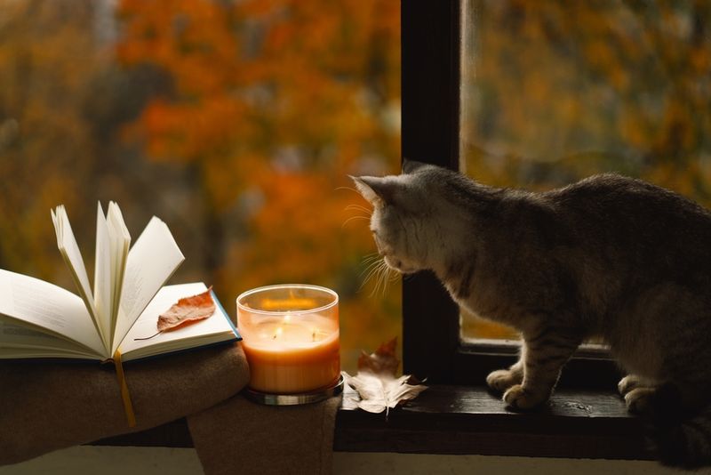 Candles