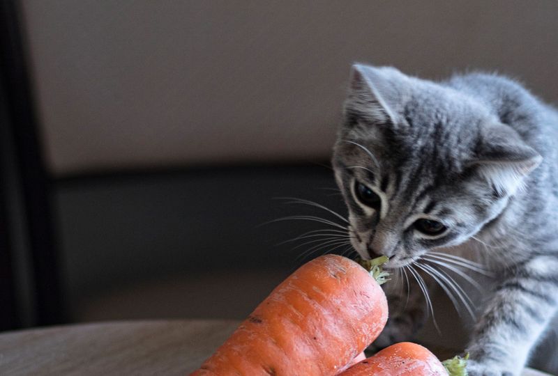 Carrots