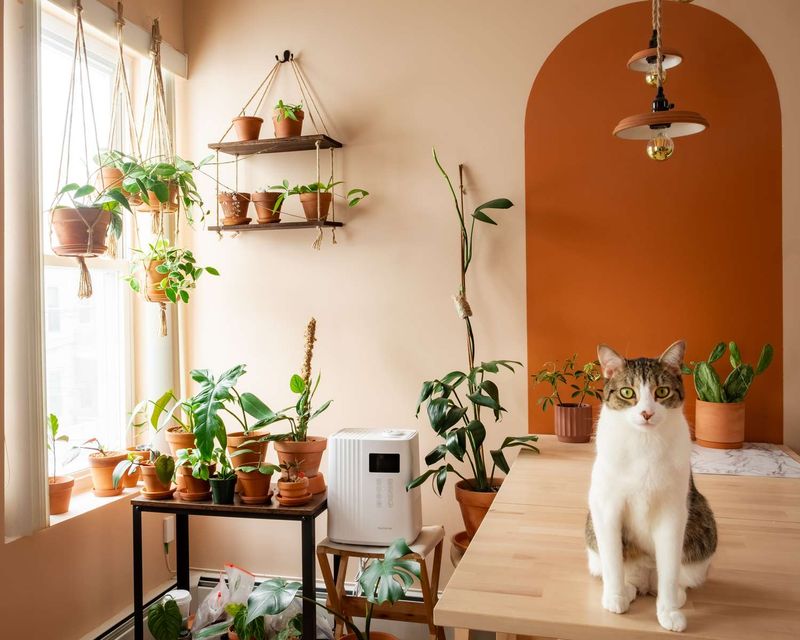 Cat-Proof Plants