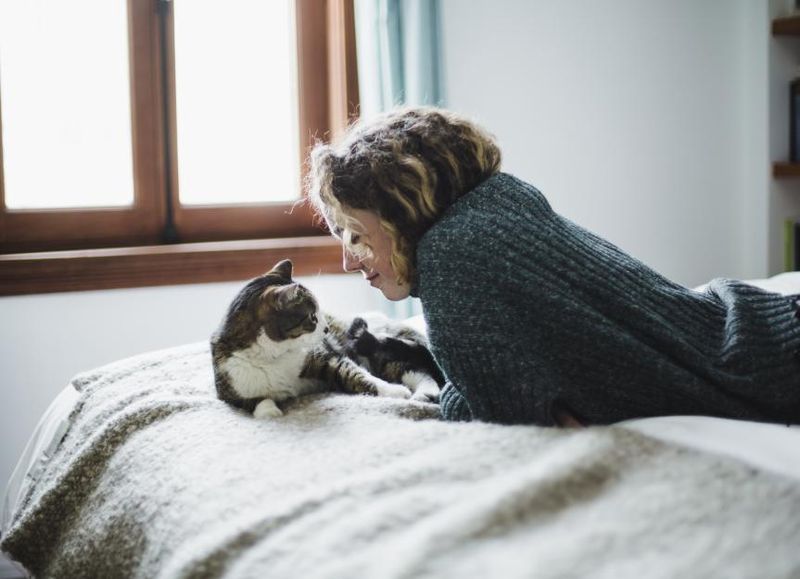 Cat-Proofing Your Home
