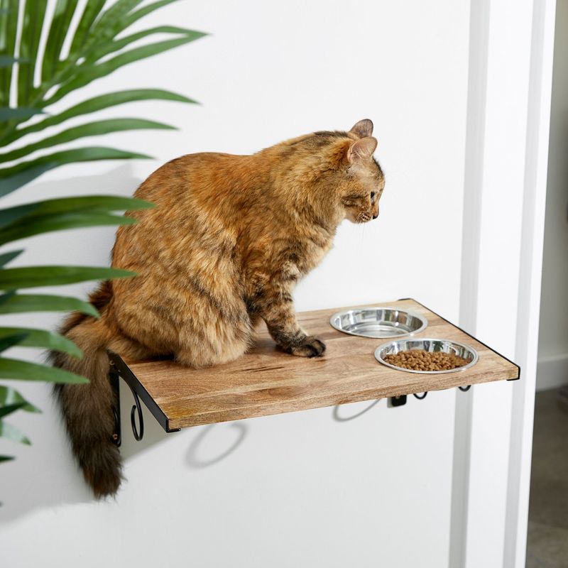 Wall-Mounted Feeding Stations