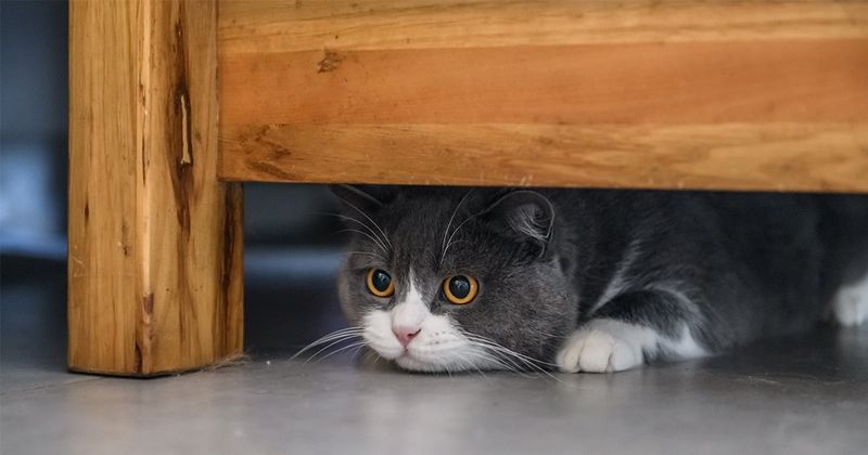 Space Under Furniture