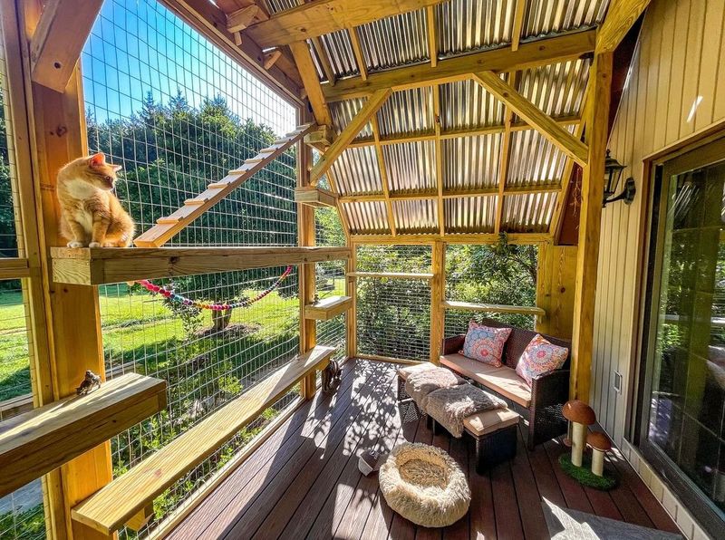 Catio Life (Outdoor Cat Patios)