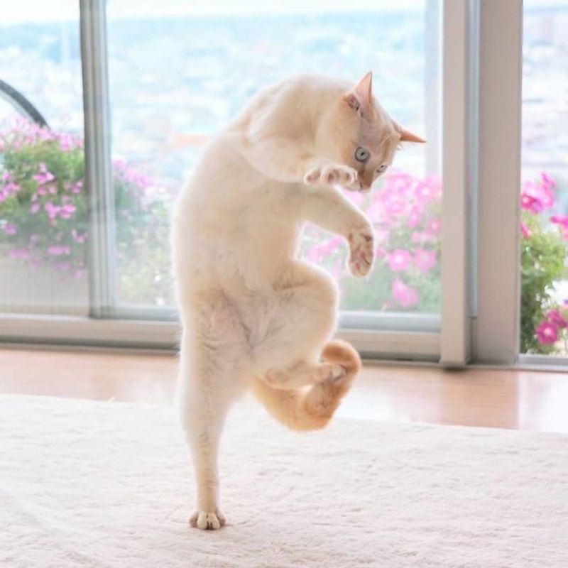 Catrick Swayze