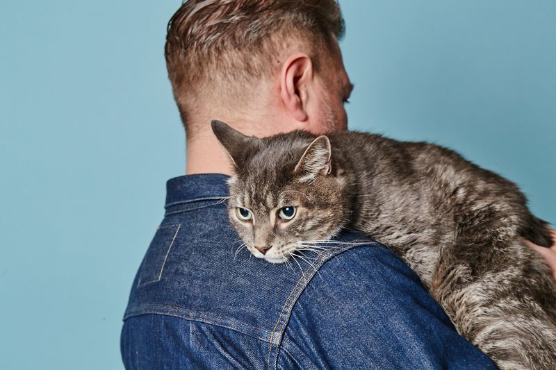 Cats Understand Cause and Effect