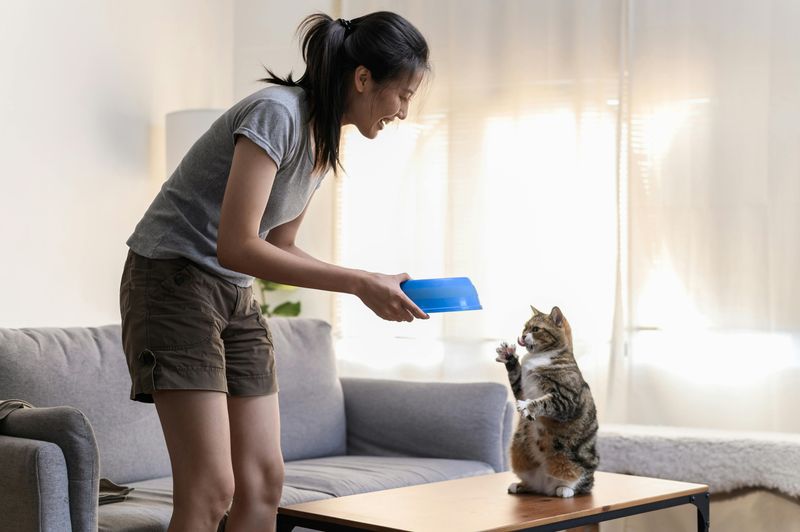 Cats Can Learn by Trial and Error