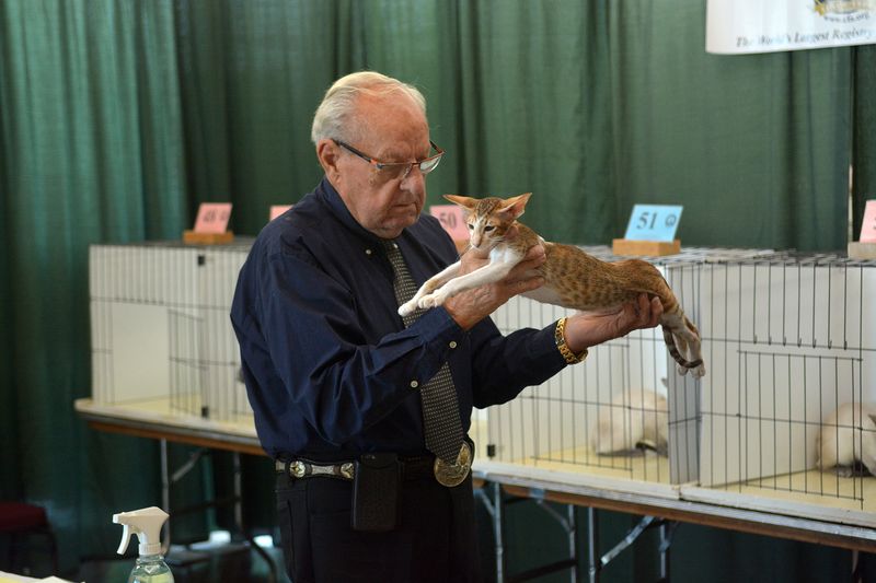 Judges Are Extremely Knowledgeable (and Fast)